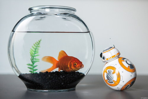 App-Enabled Star-Wars BB-8 Droid by Sphero