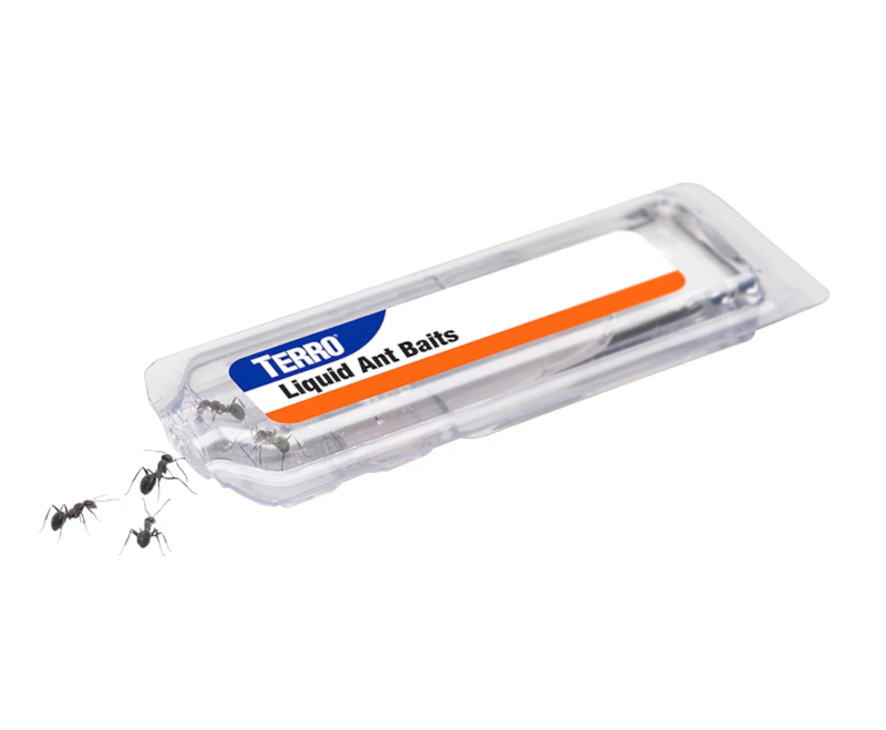 TERRO Ant Bait Stations: Goodbye Ants!