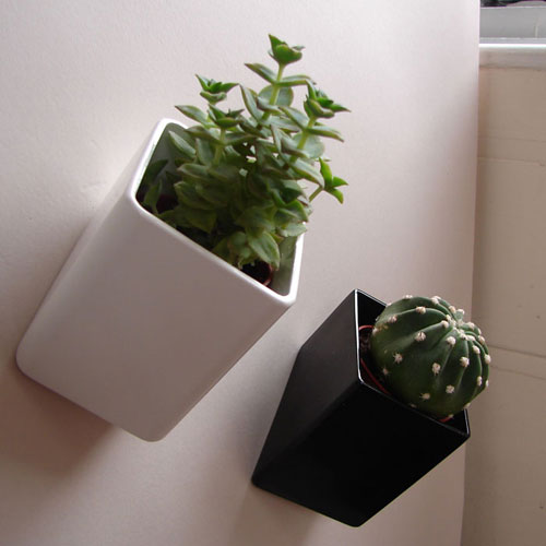 Off the Wall Pots