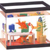 Office Fish Tank